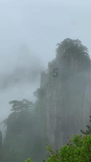 逗小猴开心系列200