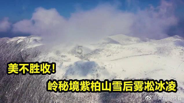 小猫钓鱼正版下载中文版