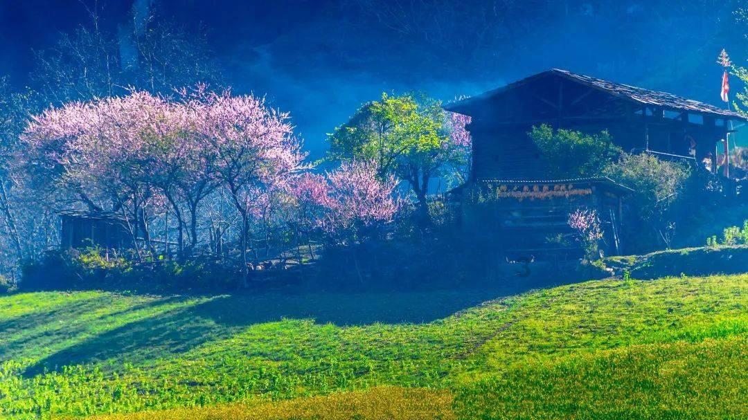 环岛旅游公路自驾指南电子版上线!