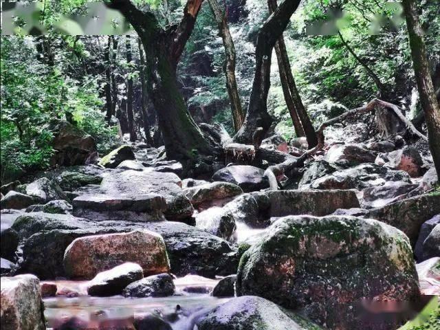《大江大河》结局：雷东宝因祸得福，钱多到花不完，贵人是跟韦春红勾结的他！