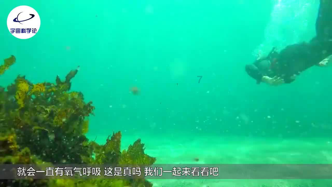 两版《花千骨》对比，最失败的选角不是白子画，而是正反派选反了