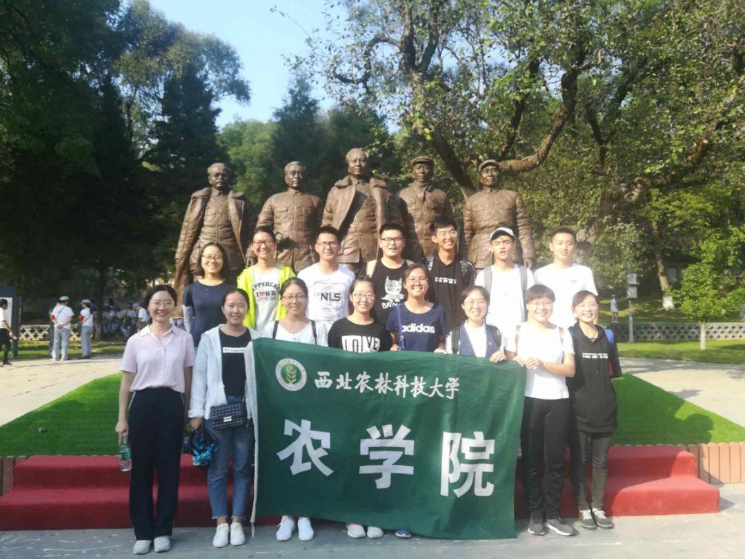 淄博广成中医开展“我是小小药师”中医亲子研学活动