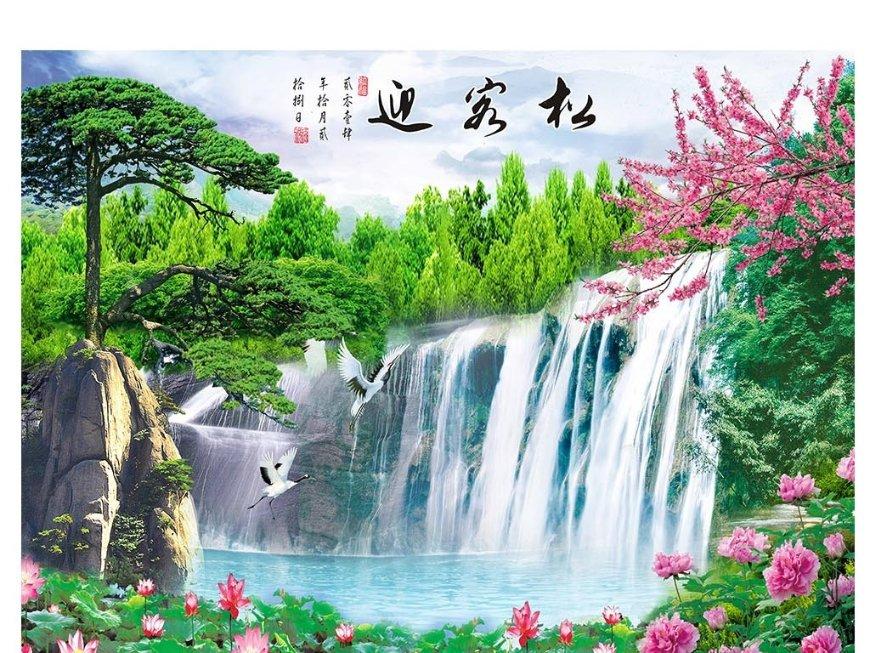 寻找萌宠松鼠