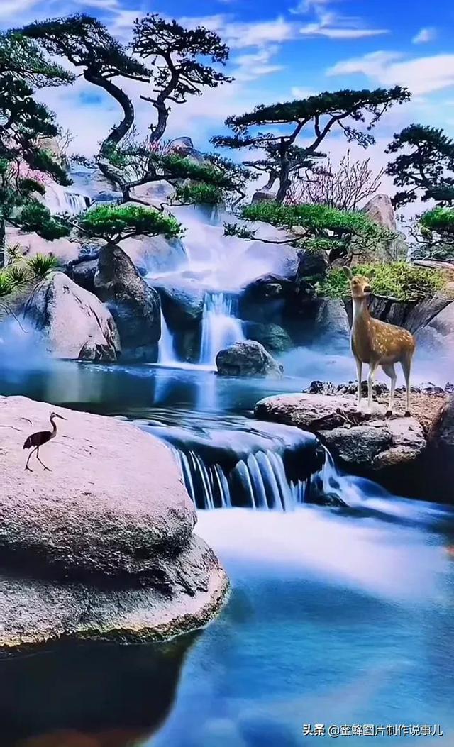 奥斯卡红毯秀