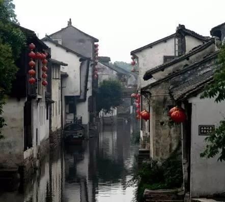 苏菲亚的休闲装