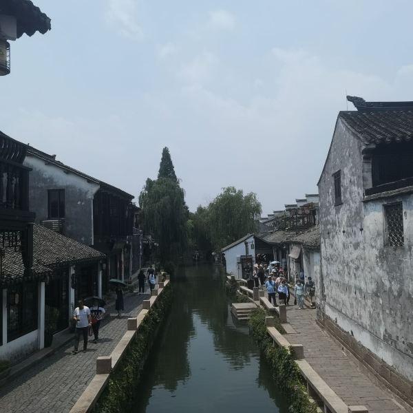 逃出熊蜂森林